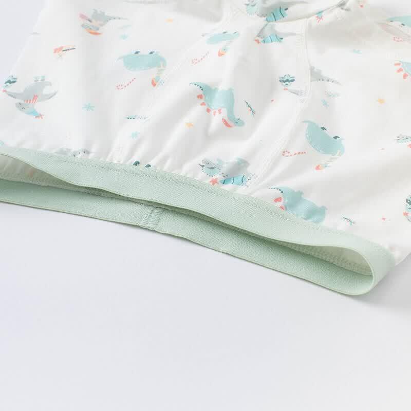 DAVE&BELLA Boys' Dinosaur Combo Boxer Briefs (2-Pack)