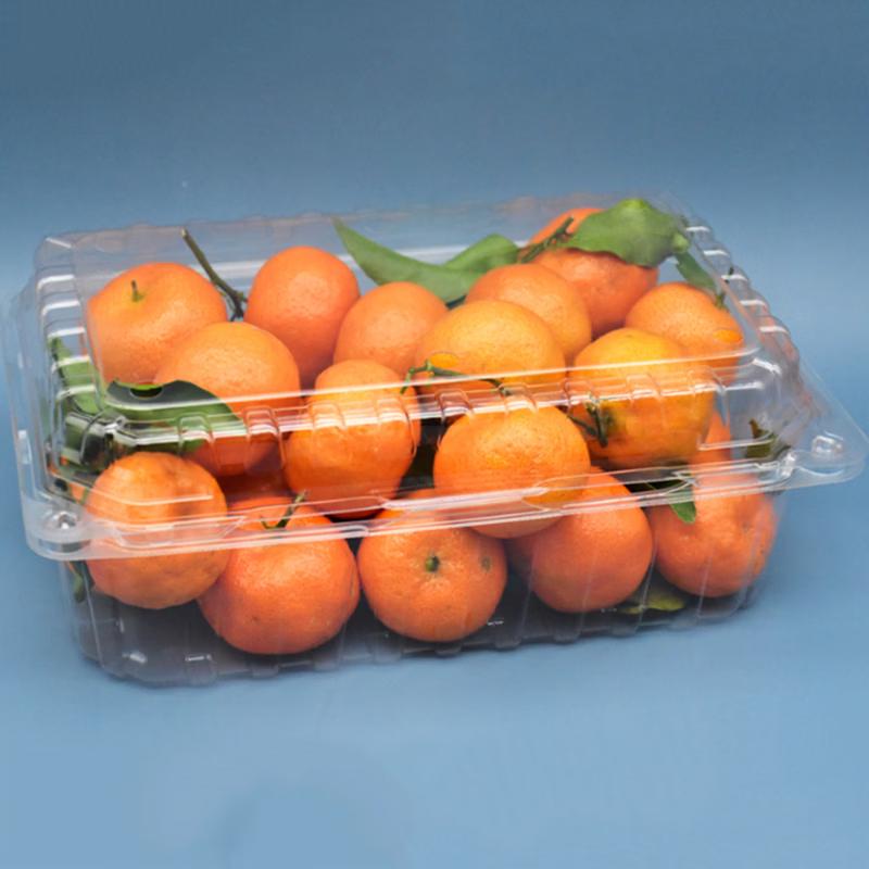 Disposable Fruit and Vegetable Takeaway Containers