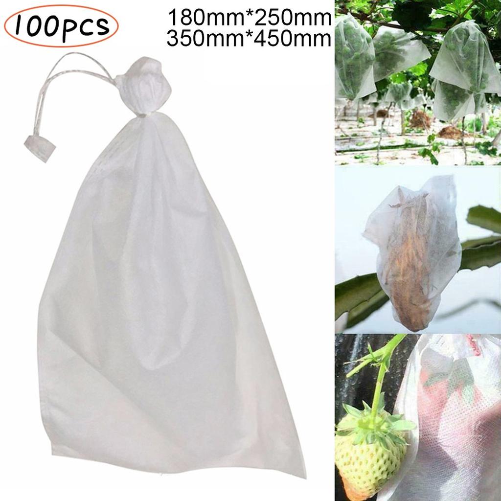 Ochranné sáčky na balení 100 ks ovoce a zeleniny, hrozny