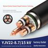 Shengyu ZRC-YJV22 Flame Retardant 8.7/15kV Oxygen-Free Copper Steel Tape Armored Power Cable