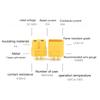 XT60 Connectors XT60 Battery Connectors XT60 Male Female Adapter Connectors Power Connectors for Battery Toy Vehicle
