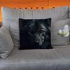 Wolf Pillow Case Square Double-Sided Printing Short Plush Sofa Cushion Cover Bedroom Bedside Pillow