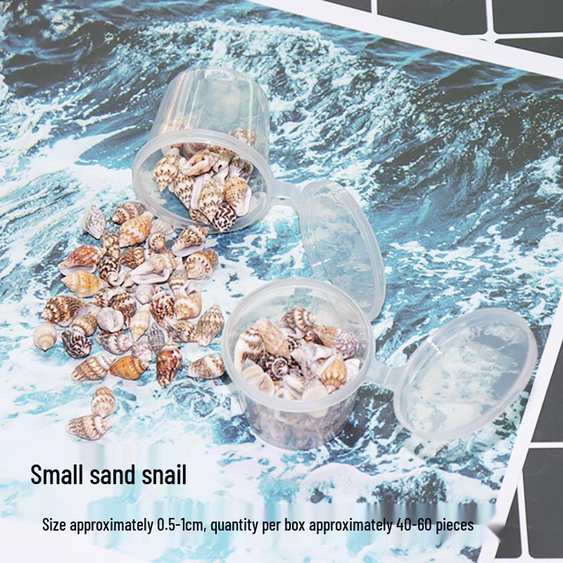 Seashell Conch UV Epoxy Craft Encapsulation Kit