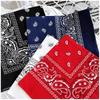 kakatrend Bandana Blue Paisley 100% Cotton Bandanna Adults Unisex Doo Rag Large 55cm x 55cm