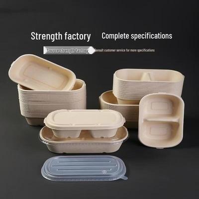 Biodegradable Pulp Food Containers