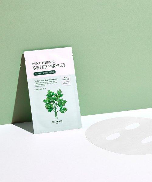 SKINFOOD Pantothenic Water Parsley Mask [Total 20 Sheets] 10+10ea