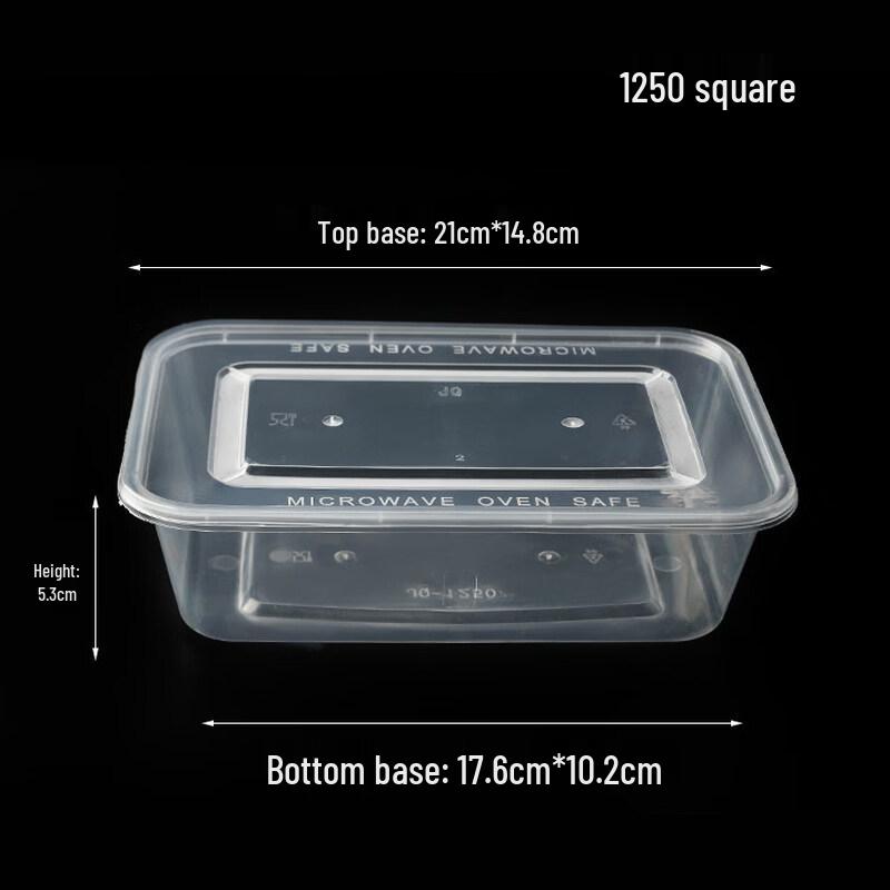 ZISIZ Disposable Rectangular Lunch Box