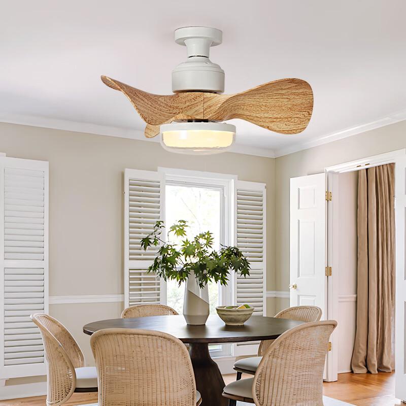 Oeny Ceiling Fan Light