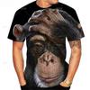 Animal T Shirt For Men 3D Printed Design Spoof Gorilla Funny Monkey Women T-Shirt Pout Monkey Children Short Sleeve Sweatshirt