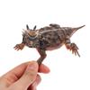 Horned Lizard Green Iguana Figurine Desktop Ornaments Action Figures Wildlife Educational Toy For Boys Girls
