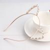 Rhinestone Cat Ear Headband Kitten Pet Play  Accessories Headbands
