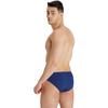 Arena Mens Team Logo Swim Briefs