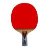 Double Fish 4-Star Table Tennis Racket