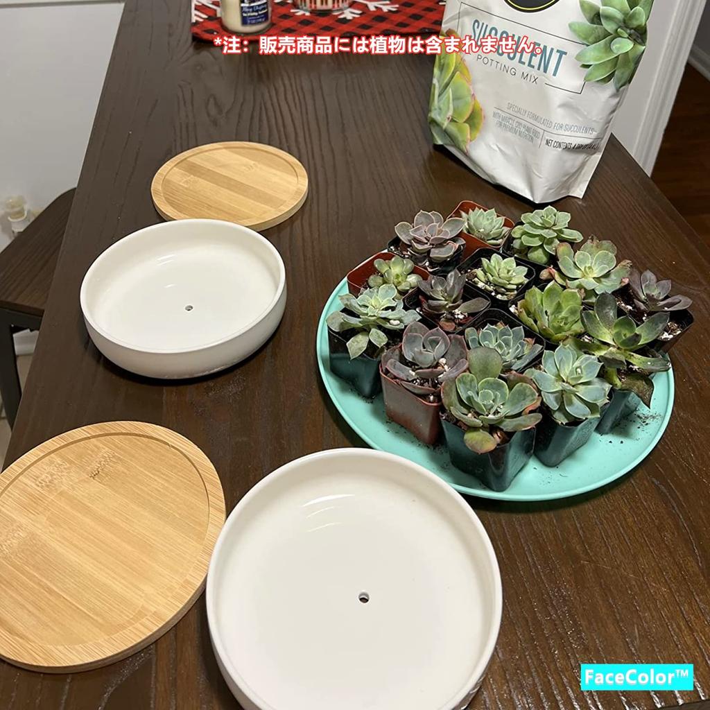 Gesichtsfarbe Keramik Weiß mit Loch und Kaktus Rund Mini Living Garden Set 2-teilig Ohne Topf, Keramik, Untertasse, Pflanzgefäß, Topf, (Größe 16165.5 CM), Bonsai,