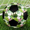 Sarah & Duck Theme Size 5 Soccer Ball, Suitable for Both Indoor and Outdoor Matches, a Gift Suitable for Everyone.