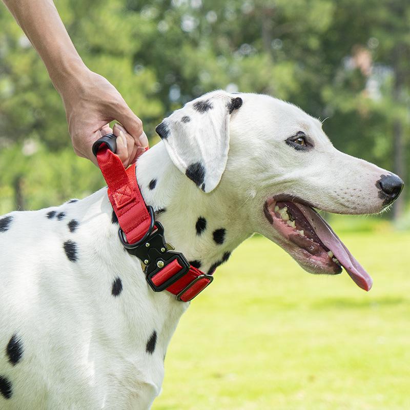 Zgărzi pentru animale de companie, Zgărzi pentru câini rezistente la explozii, rezistente la impact și extensibile, Zgărzi pentru câini de talie medie și mare, Zgărzi tactice