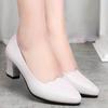 Spring Autumn High Heels for Women British Ladies Shoes Slip-On Pumps Block Heel Loafers Breathable 2024