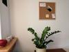 Cork Board 40x40 Wood FREE TAPES!!!