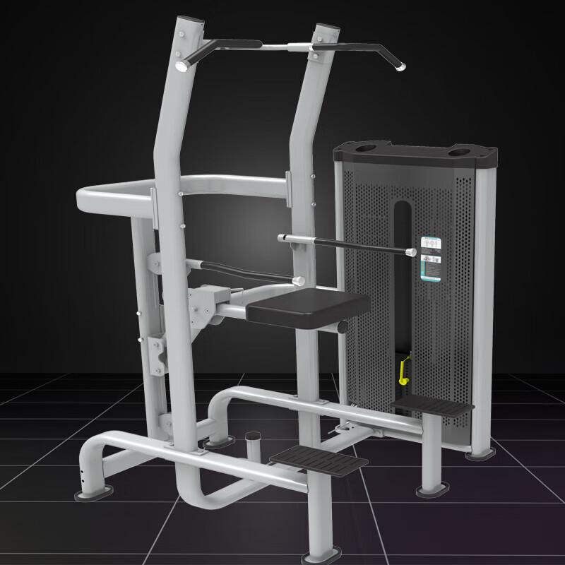 Jinlishuo Assisted Pull-up & Dip Trainer