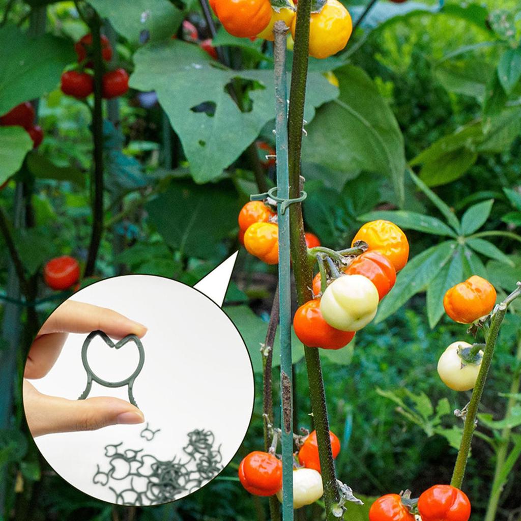 100/200pcs Plant Clips 3 Size Clips for Attaching Plants Garden Clamp Plant Support Clamp Climbing Plant Clip Plant Clip