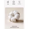 Xinjiang Cotton Double-Layer Gauze Summer Quilt