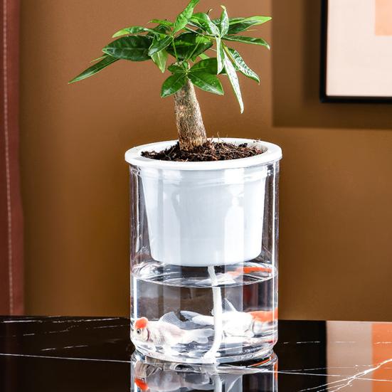Aquaponik Betta Fischtank Transparenter Kunststoff Bruchfester Pflanzbehälter Ökosystem Aquarium Schreibtisch Aquaponik System für Betta Fisch Zimmerpflanzen