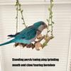 5pcs Parrots Climbing Playgrounds Engaging Birds Playset Wood Perches Gym Ladder for Exercise and Fun
