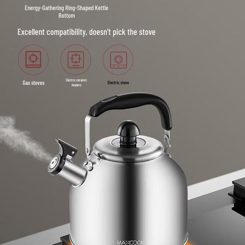 MAXCOOK 304 Stainless Steel Japanese Style Kettle