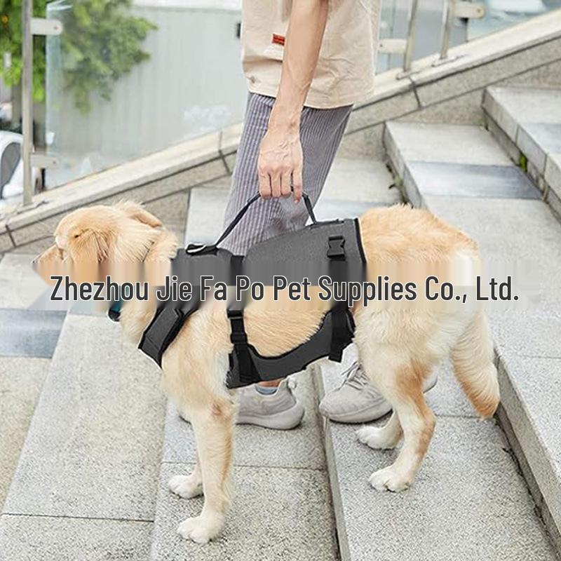 Stützgurt für Hunde für ältere oder behinderte große Hunde: Treppen- und Gehhilfe