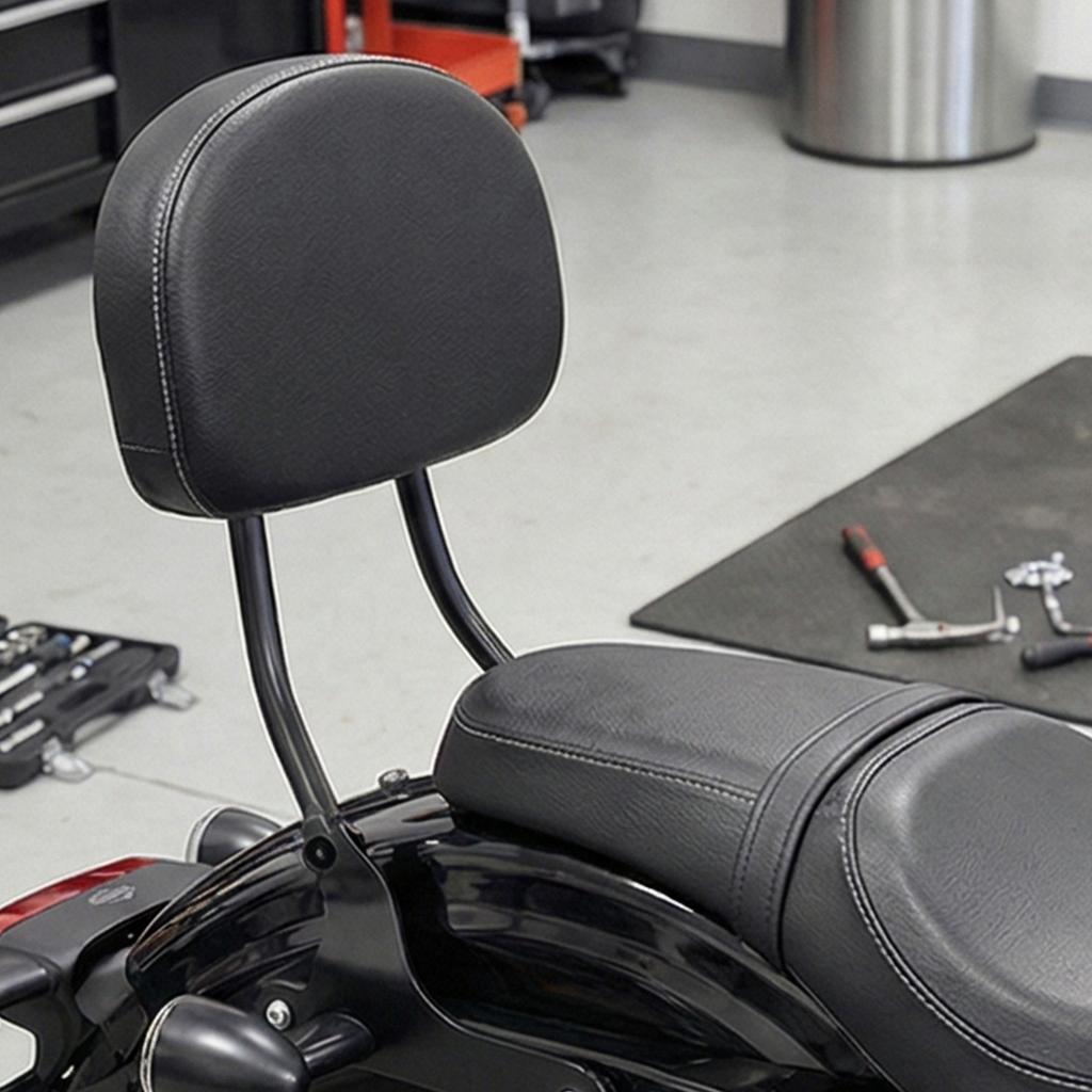 Adjustable Motorcycle Seat Back Support Kit Corrosion Resistant Metal Designs Steel Reinforced Backrest for S1250 RH1250