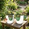 Vasos e caixas para jardim – Recipientes para mudas