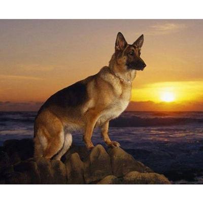 Tysk hyrde diamantmaleri hel hund diamantbroderi av rhinestones DIY hobby håndarbeid maling kunst