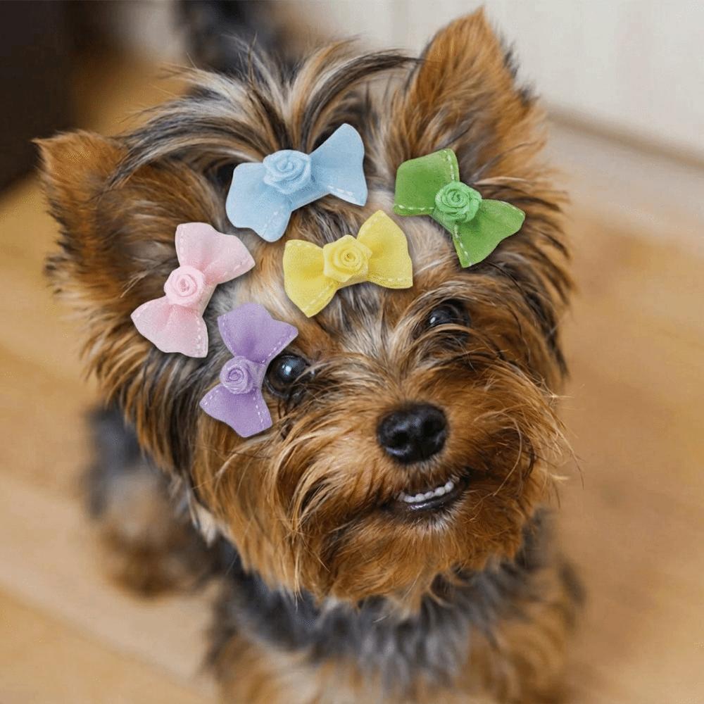 10Pcs Lightweight Pet Bow Clip Organza Bow Pet Head Flower Pet Bow Hairpin Daily Pet Wear