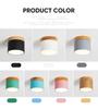 LED downlight modern colorful ceiling light surface mounted spotlight bedroom lighting for living room indoor Light fixture