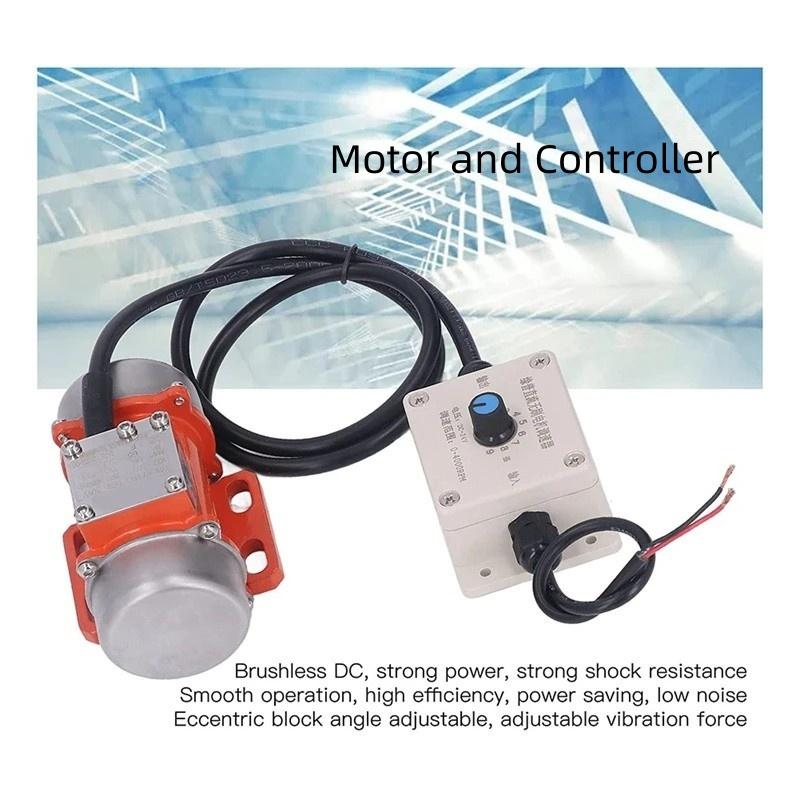 Strong Poewr Brushless Motor DC 12V 24V Electric Engine Concrete Vibrator High Frequency Vibrator Eccentric Motor