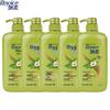Rejoice Daily Care Oil Control & Anti-Dandruff Shampoo
