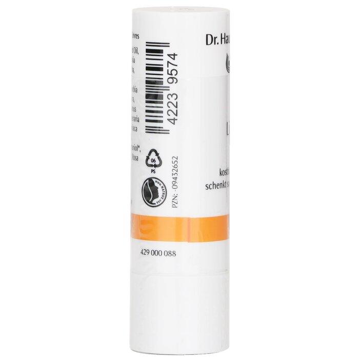 DR. HAUSCHKA Lip Care Stick