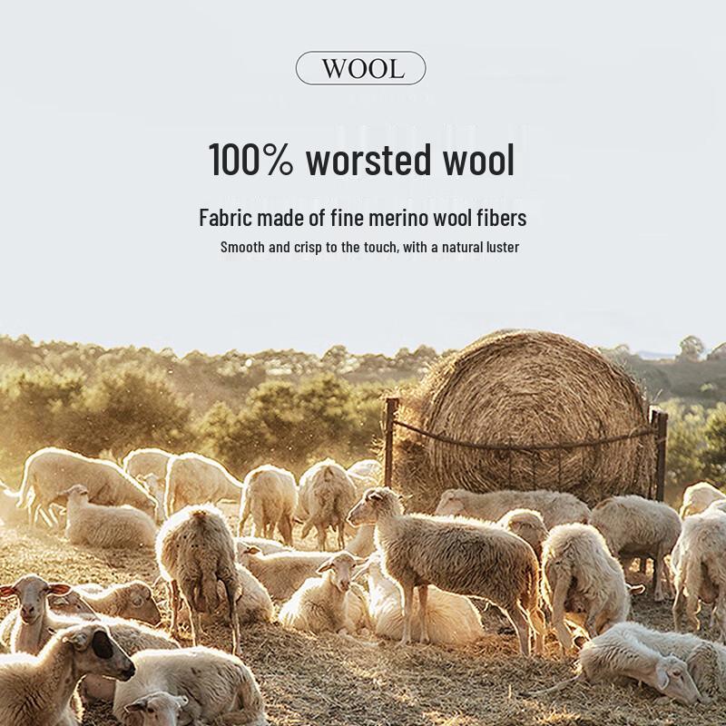 Antonio Men's 100% Worsted Wool Business Casual Jacket