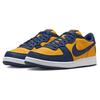 Nike Terminator Low Michigan Unisex Sneakers Blue University-Gold Navy FJ4206-700