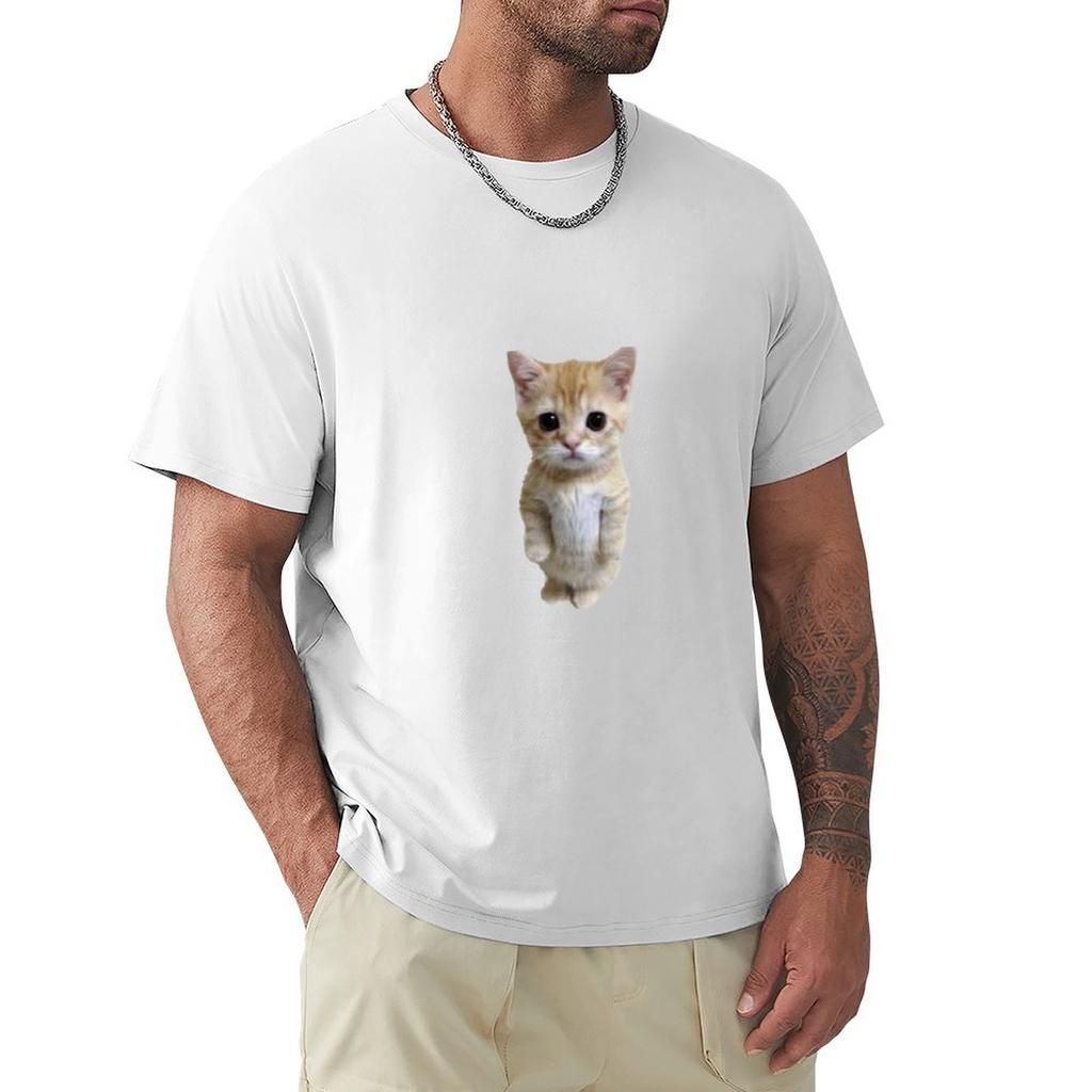 Awkward Standing Kitten Tshirt Relaxed Fit Casual Short Sleeve Top