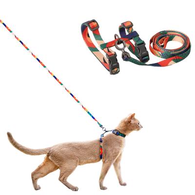 Kedi – Kedi Boyunluk ve Tasmaları