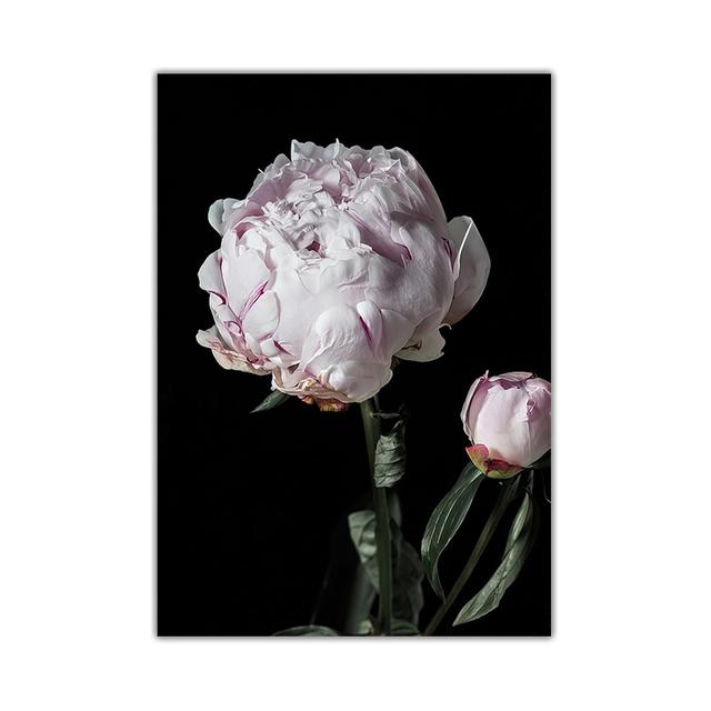 

Пион Цветок Холст Плакат Скандинавский Розовый Белый Цветочный Ботанический Принт Настенная Живопись Скандинавское Украшение Картина Декор Комнаты 21*30cm