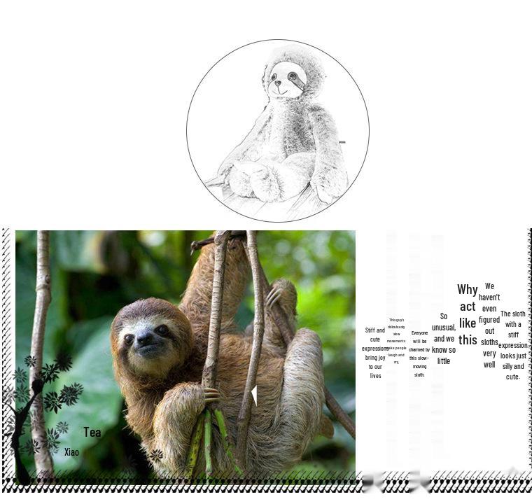 Cross-Border Sloth Plush Toy - Girly Pillow & Gift, One Piece Delivery