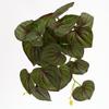 Mini Green Leaves Wall Hanging: Potted Pothos Monstera Planter for Decorative Flower Arrangements and Landscaping