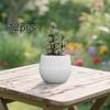 12 Pieces Small Flower Pots Containers Multifunctional Plant Planters for Indoor Plants Office
