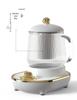 Portable Electric Mini Teapot with Multifunctional Heating for Home and Office