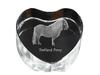 Shetland Pony – A Photo of a Horse In Crystal, a Crystal Heart |