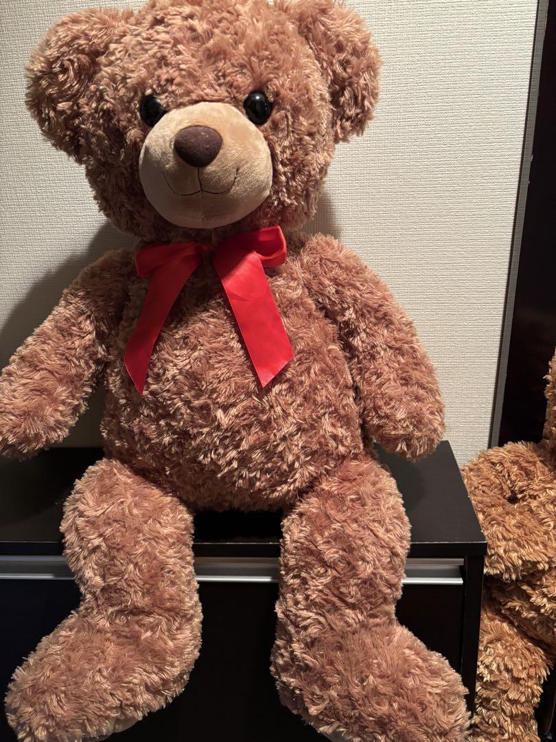 

[USED] Teddy bear (large)
