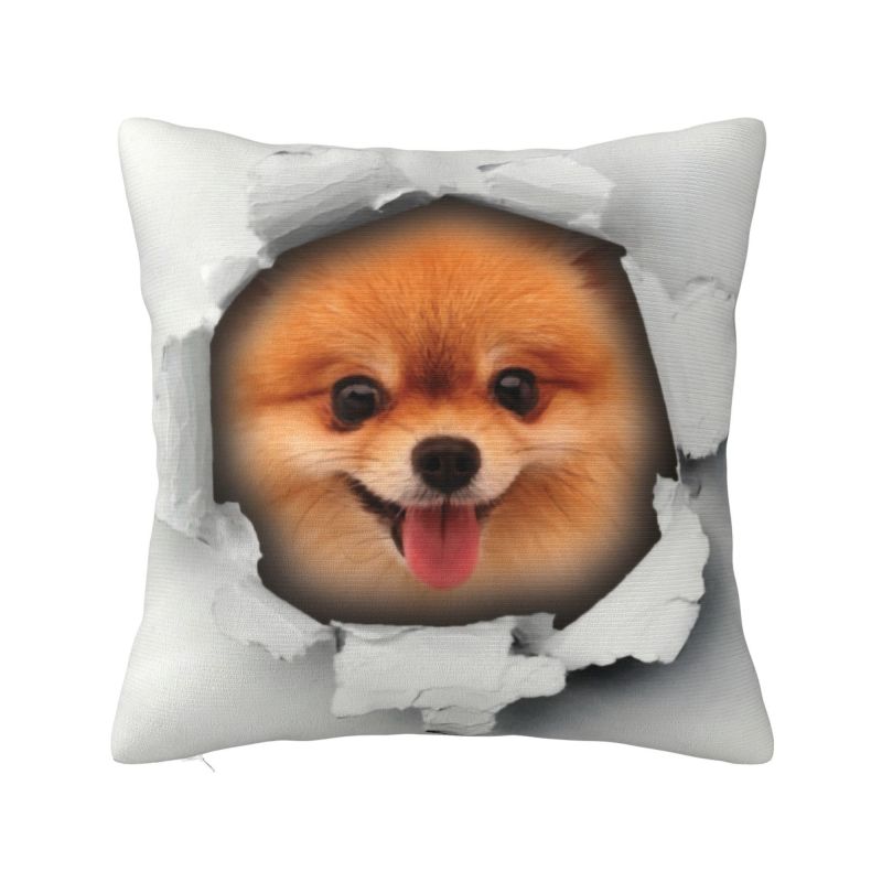 Maßgefertigter Sofakissenbezug mit nordischem Pomeranian-Motiv und Sommerblättern, Samt-Kissenbezug für Haustiere, Spitz-Kissenbezug, Schlafzimmerdekoration