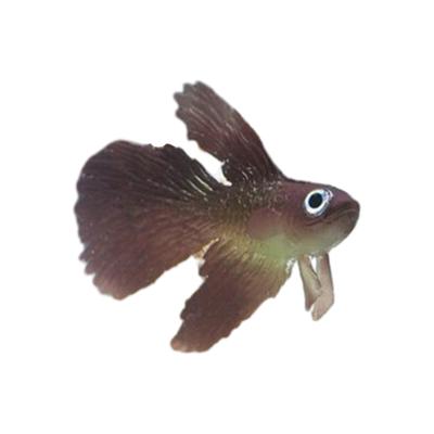 Impeccable Decoration Soft Small Fake Fish For Landscaping Aquarium Flexible And Realistic Silica Gel Impeccable Gift, Red